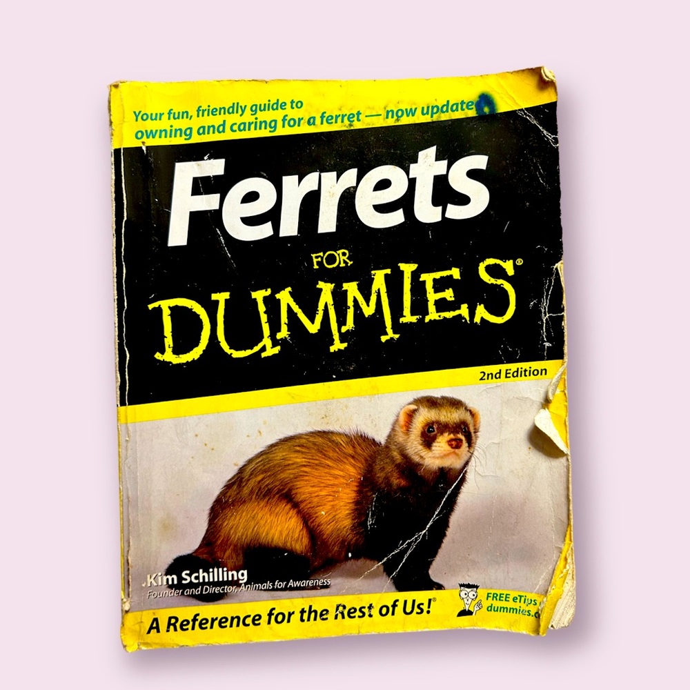 Ferrets for dummies book used